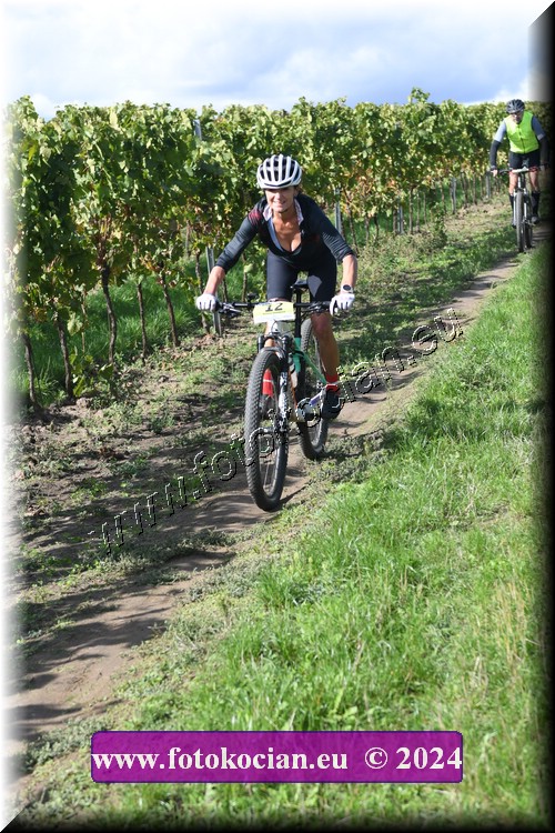 Náhled obrázku: 2024-1639-Valtice-12.JPG