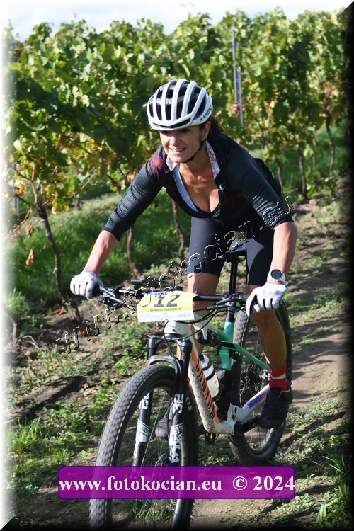 Náhled obrázku: 2024-1640-Valtice-12.JPG