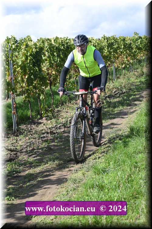 Náhled obrázku: 2024-1641-Valtice-85.JPG