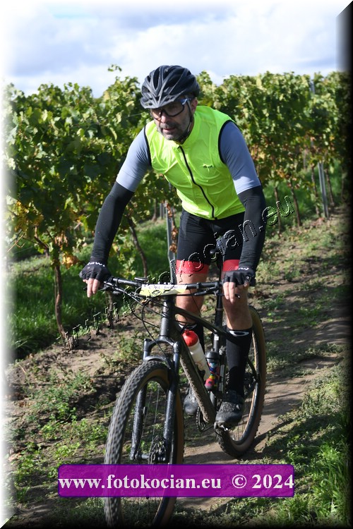 Náhled obrázku: 2024-1642-Valtice-85.JPG