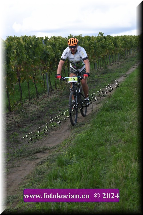 Náhled obrázku: 2024-1643-Valtice-15.JPG