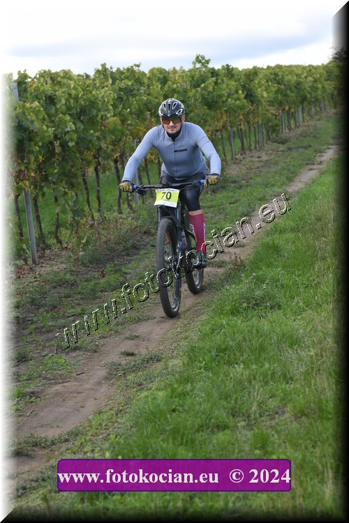 Náhled obrázku: 2024-1645-Valtice-70.JPG