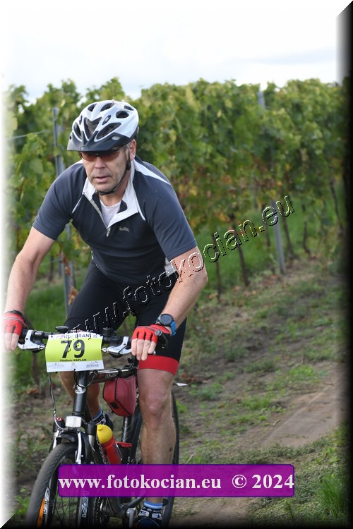 Náhled obrázku: 2024-1648-Valtice-79.JPG