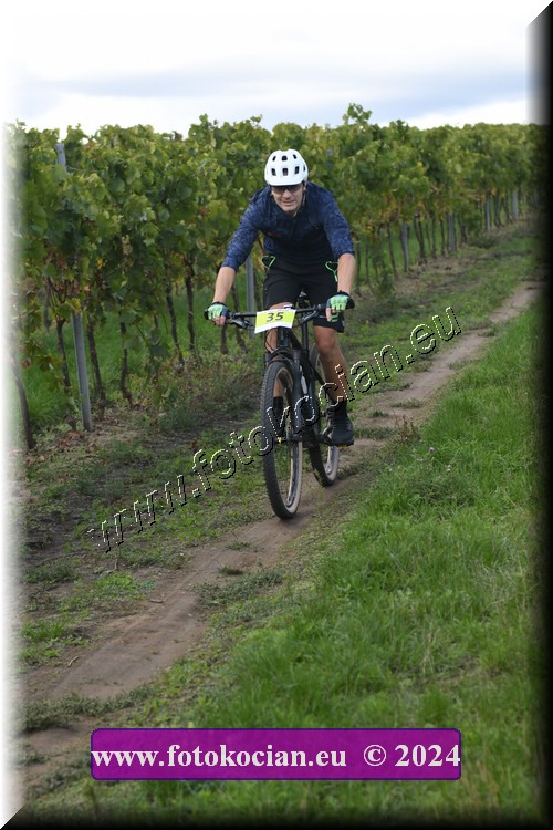 Náhled obrázku: 2024-1649-Valtice-35.JPG