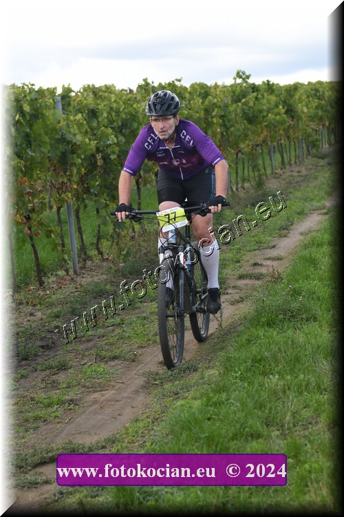 Náhled obrázku: 2024-1653-Valtice-77.JPG