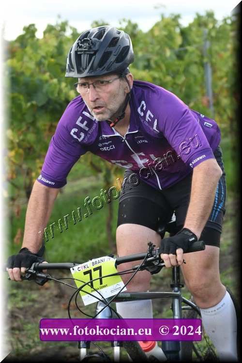 Náhled obrázku: 2024-1654-Valtice-77.JPG