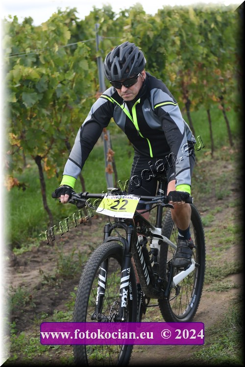 Náhled obrázku: 2024-1656-Valtice-22.JPG