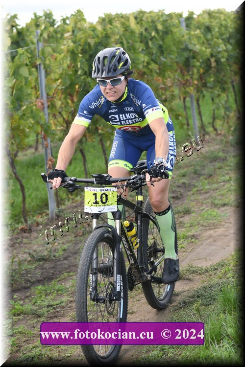 Náhled obrázku: 2024-1657-Valtice-10.JPG