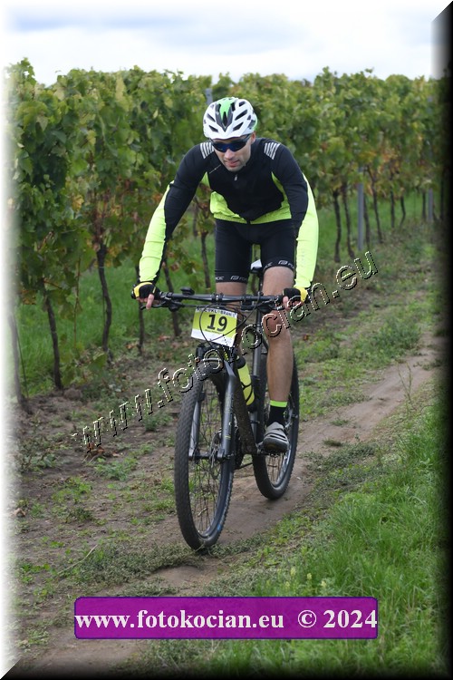 Náhled obrázku: 2024-1659-Valtice-19.JPG