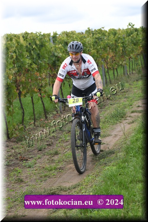 Náhled obrázku: 2024-1663-Valtice-28.JPG