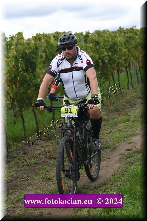 Náhled obrázku: 2024-1666-Valtice-91.JPG