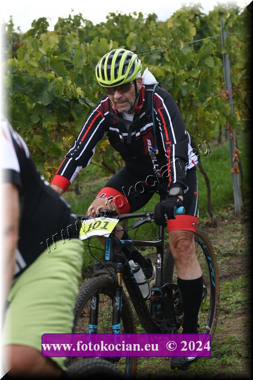 Náhled obrázku: 2024-1667-Valtice-101.JPG