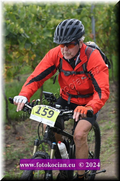 Náhled obrázku: 2024-1672-Valtice-159.JPG