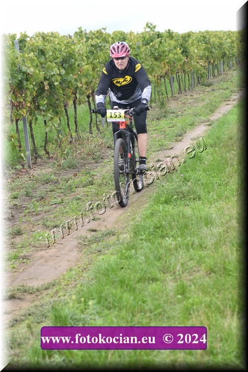 Náhled obrázku: 2024-1674-Valtice-153.JPG