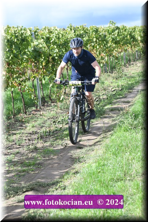 Náhled obrázku: 2024-1678-Valtice-141.JPG