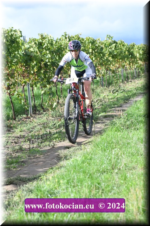 Náhled obrázku: 2024-1680-Valtice-81.JPG