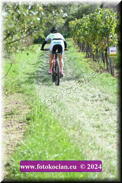 Náhled obrázku: 2024-1682-Valtice-81.JPG