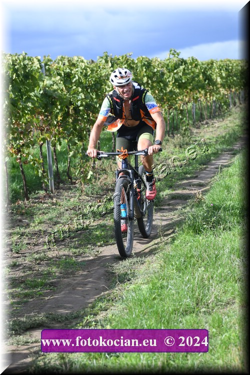 Náhled obrázku: 2024-1683-Valtice-0.JPG