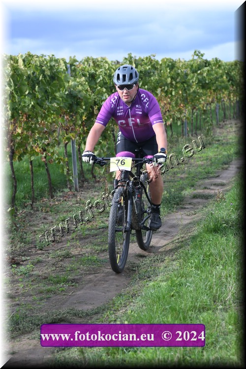 Náhled obrázku: 2024-1687-Valtice-76.JPG