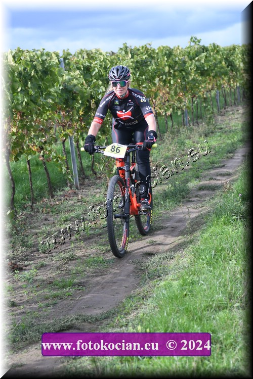 Náhled obrázku: 2024-1689-Valtice-86.JPG