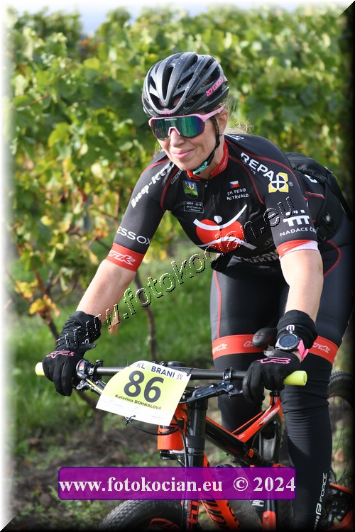 Náhled obrázku: 2024-1690-Valtice-86.JPG