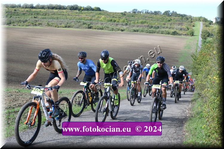 Náhled obrázku: 2024-1005-Valtice-161,118,100,133,80.JPG