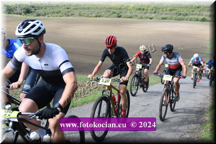 Náhled obrázku: 2024-1007-Valtice-110,112.JPG