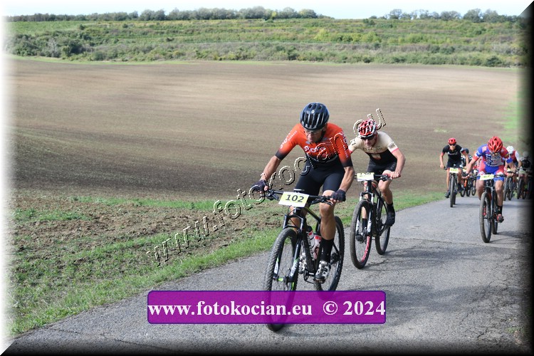 Náhled obrázku: 2024-1011-Valtice-102.JPG