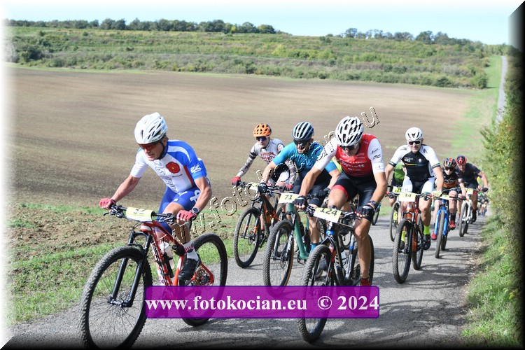 Náhled obrázku: 2024-1016-Valtice-32,124,71.JPG