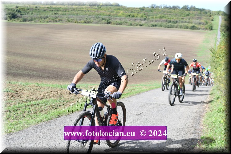 Náhled obrázku: 2024-1022-Valtice-117.JPG