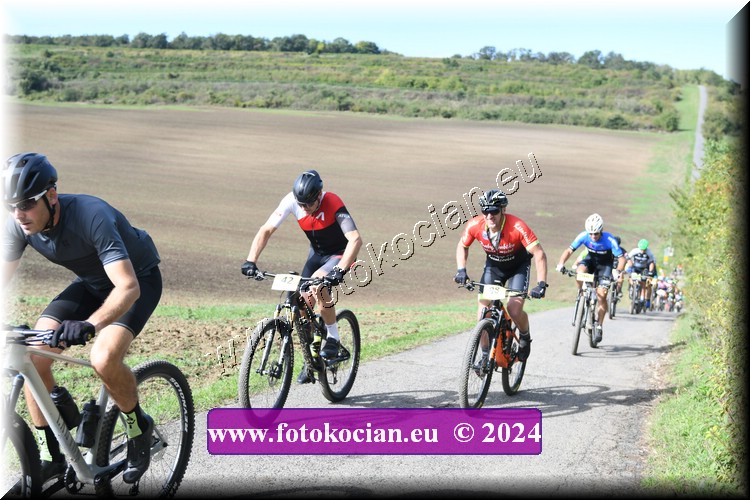 Náhled obrázku: 2024-1023-Valtice-42,98.JPG