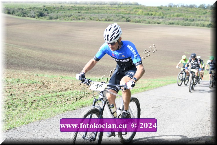 Náhled obrázku: 2024-1025-Valtice-46.JPG