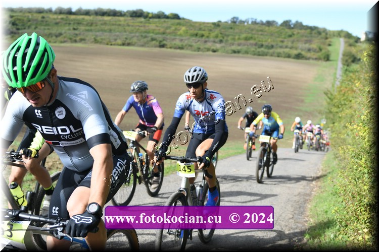 Náhled obrázku: 2024-1026-Valtice-145.JPG