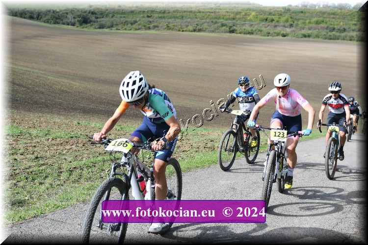 Náhled obrázku: 2024-1029-Valtice-166,123.JPG