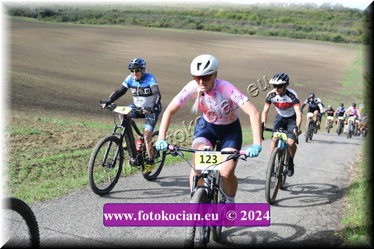 Náhled obrázku: 2024-1030-Valtice-123,5,56.JPG