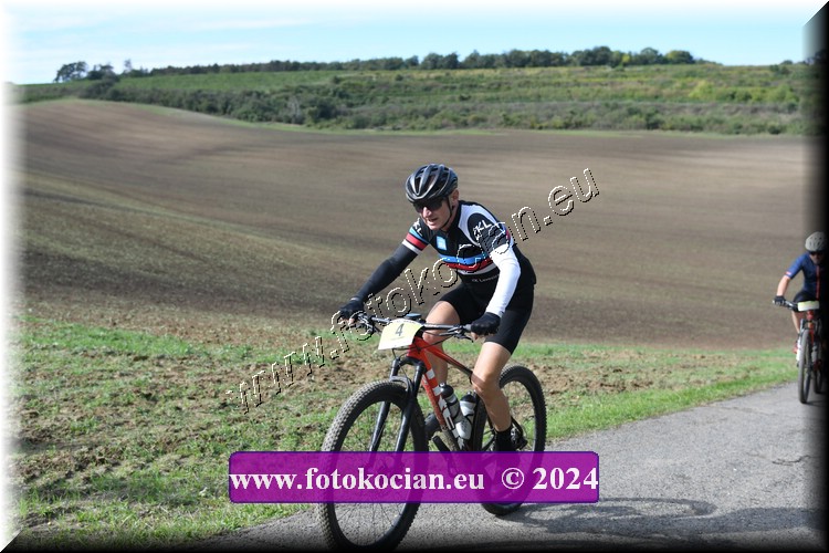 Náhled obrázku: 2024-1032-Valtice-4.JPG