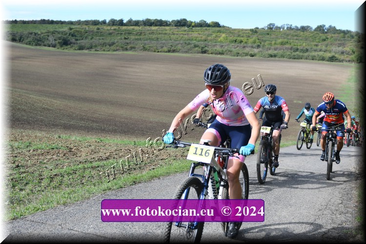 Náhled obrázku: 2024-1033-Valtice-116.JPG