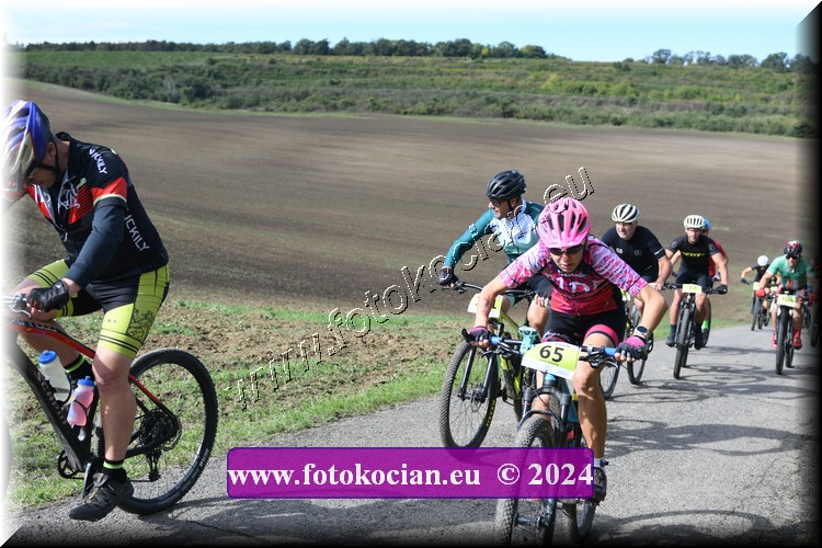 Náhled obrázku: 2024-1035-Valtice-65.JPG