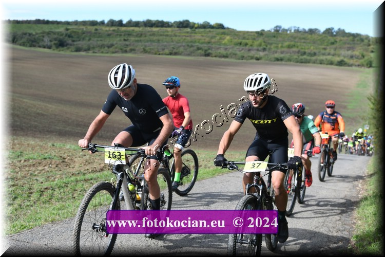 Náhled obrázku: 2024-1036-Valtice-163,37.JPG