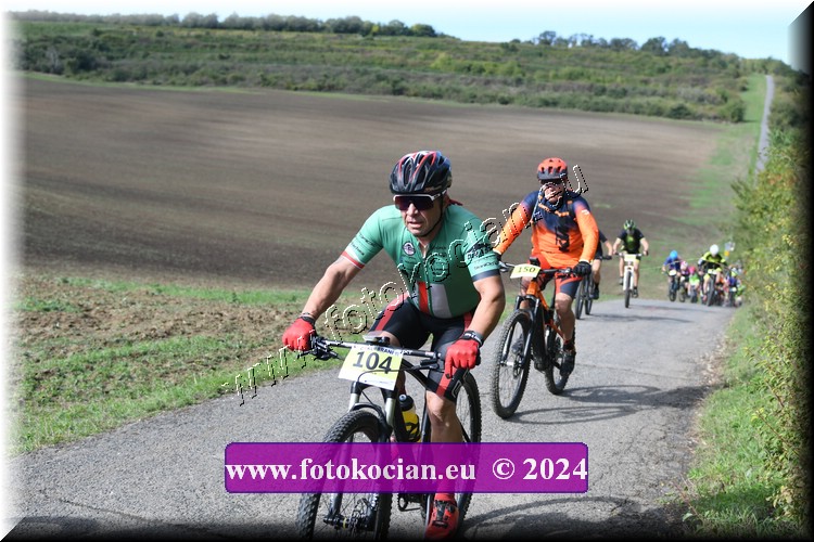 Náhled obrázku: 2024-1037-Valtice-104.JPG