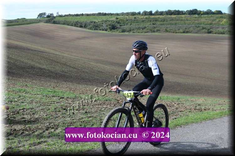 Náhled obrázku: 2024-1041-Valtice-167.JPG