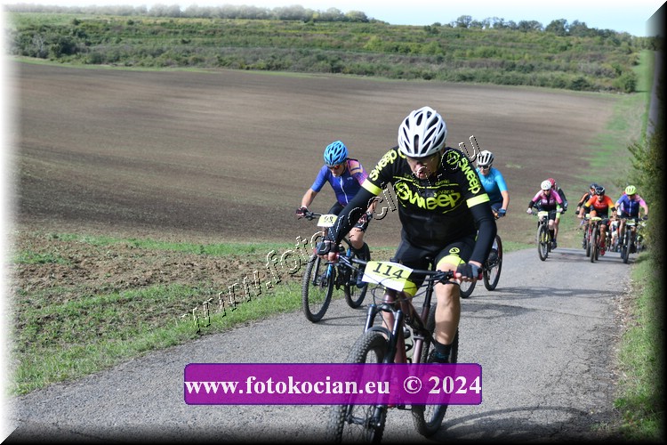 Náhled obrázku: 2024-1042-Valtice-93,114.JPG