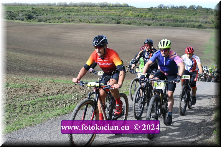 Náhled obrázku: 2024-1045-Valtice-88,106.JPG