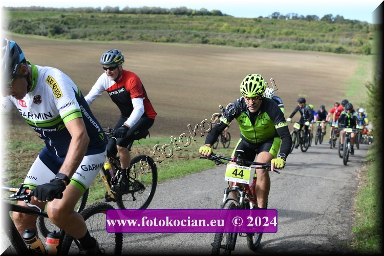 Náhled obrázku: 2024-1051-Valtice-44.JPG