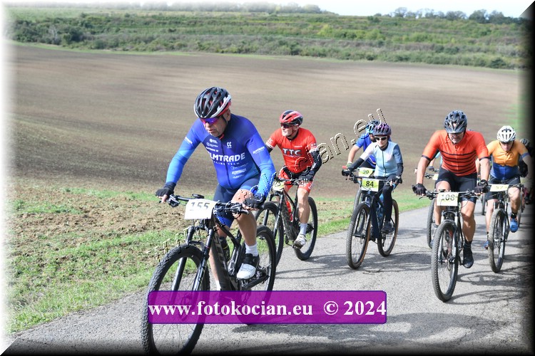 Náhled obrázku: 2024-1060-Valtice-155,84,108.JPG