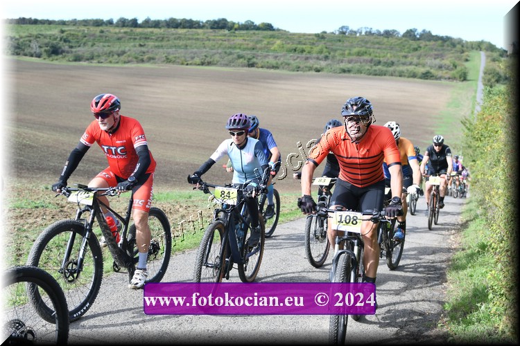 Náhled obrázku: 2024-1061-Valtice-105,84,108.JPG