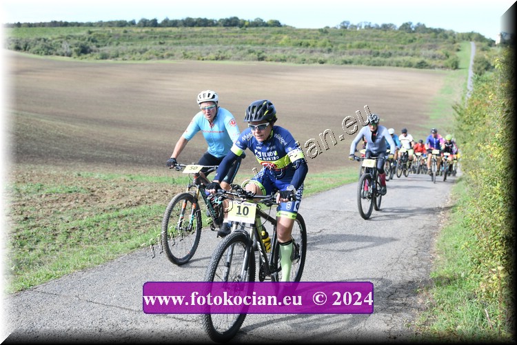 Náhled obrázku: 2024-1064-Valtice-10,50.JPG