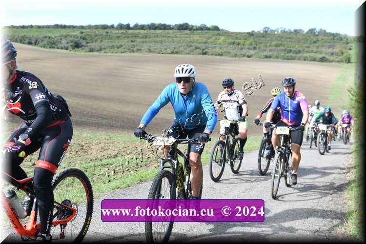 Náhled obrázku: 2024-1068-Valtice-51.JPG