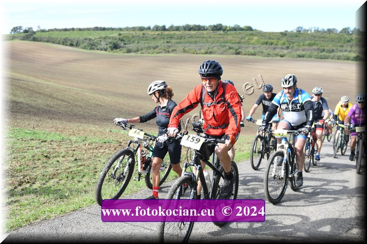 Náhled obrázku: 2024-1072-Valtice-159,12.JPG