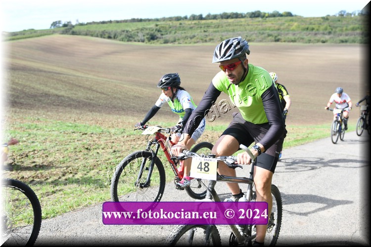 Náhled obrázku: 2024-1076-Valtice-48,81.JPG